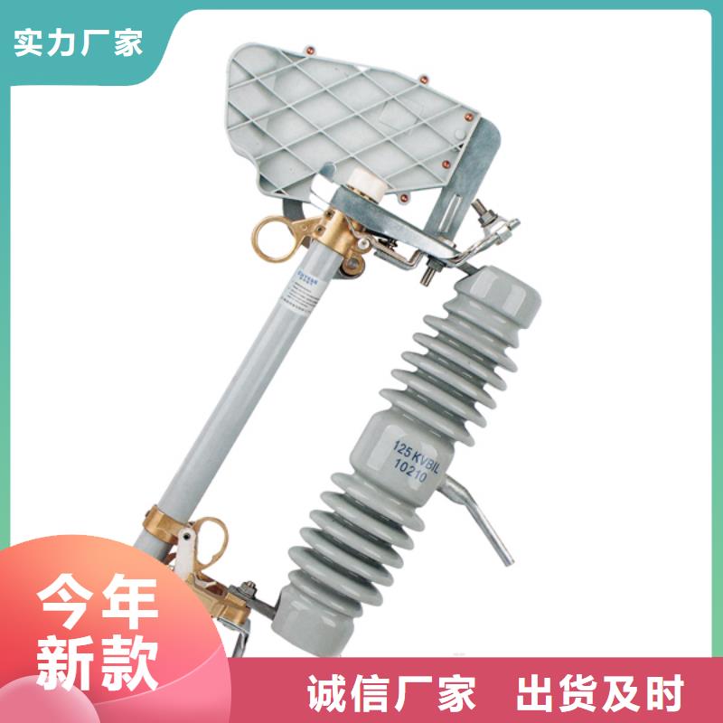 高压熔断器/RW11-12F/100