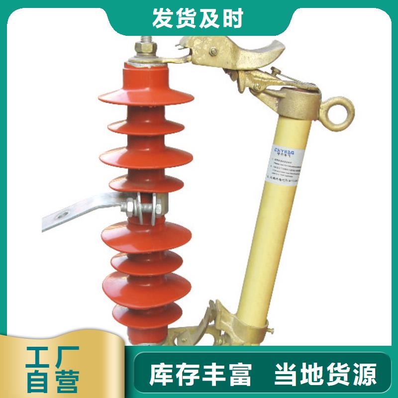 高压熔断器/户外高压交流跌落式熔断器GYF1-15F/100