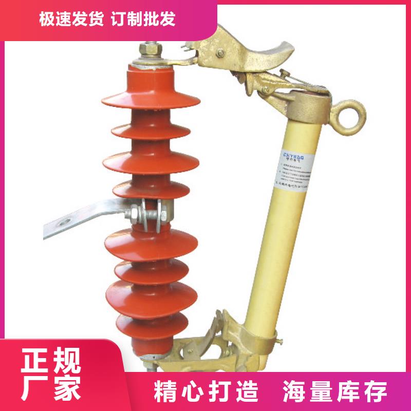 RW-15/100A【跌落式熔断器】