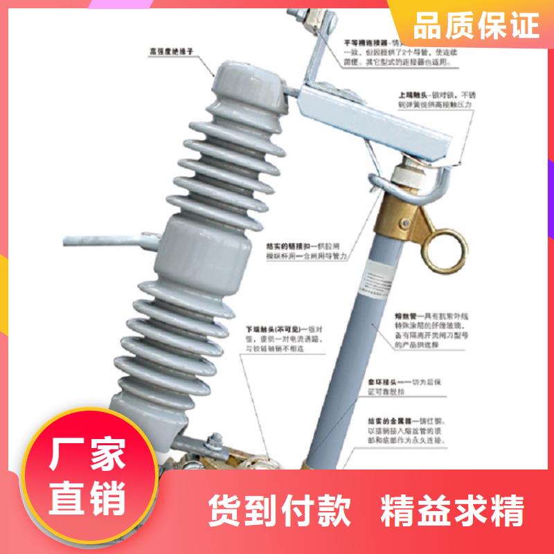 _避雷器Y10WZ-17/45【羿振电气】