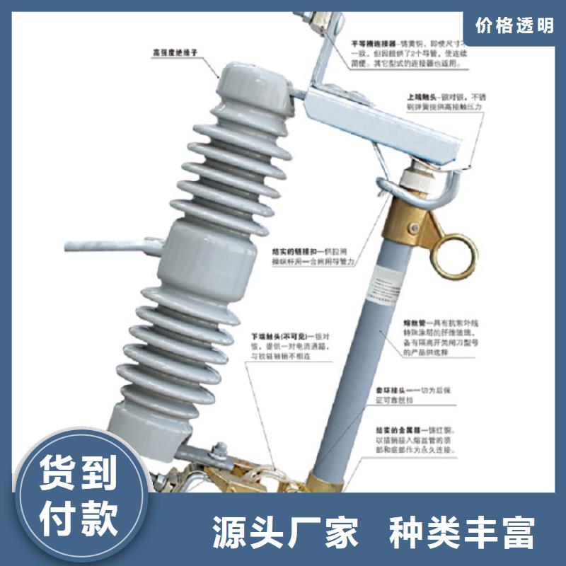 高压熔断器_RW12-12/100A