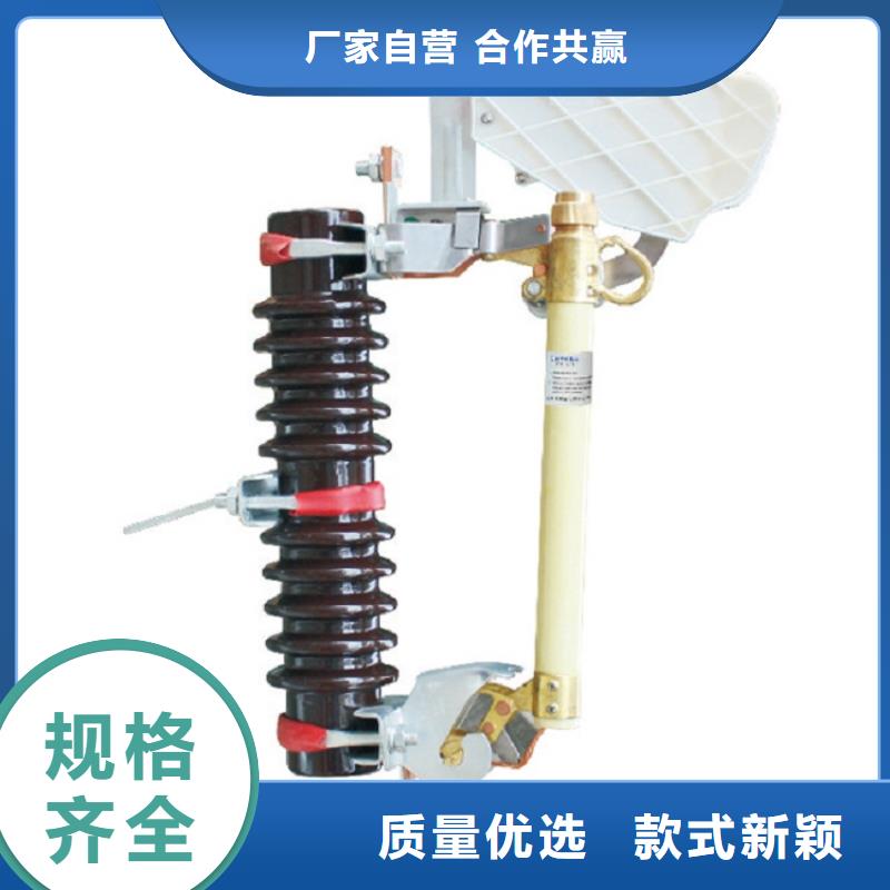 交流熔断器/AC10kV/100A/跌落式/复合材料