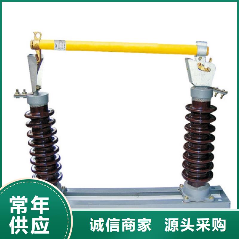 跌落式熔断器RW12-12-100A