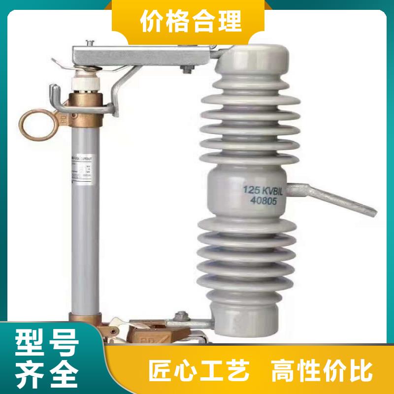 跌落式熔断器/RW12-10-100A
