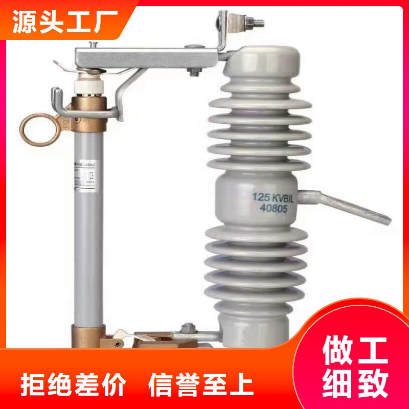 【跌落式熔断器】RW11F-12/100A
