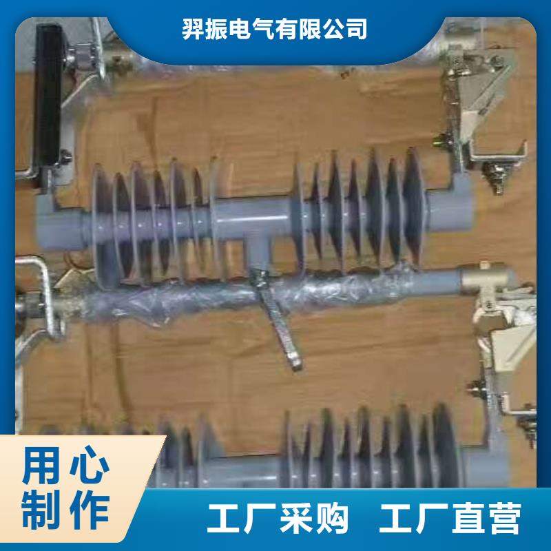 【跌落式熔断器】RW12-10F/100A浙江羿振电气有限公司
