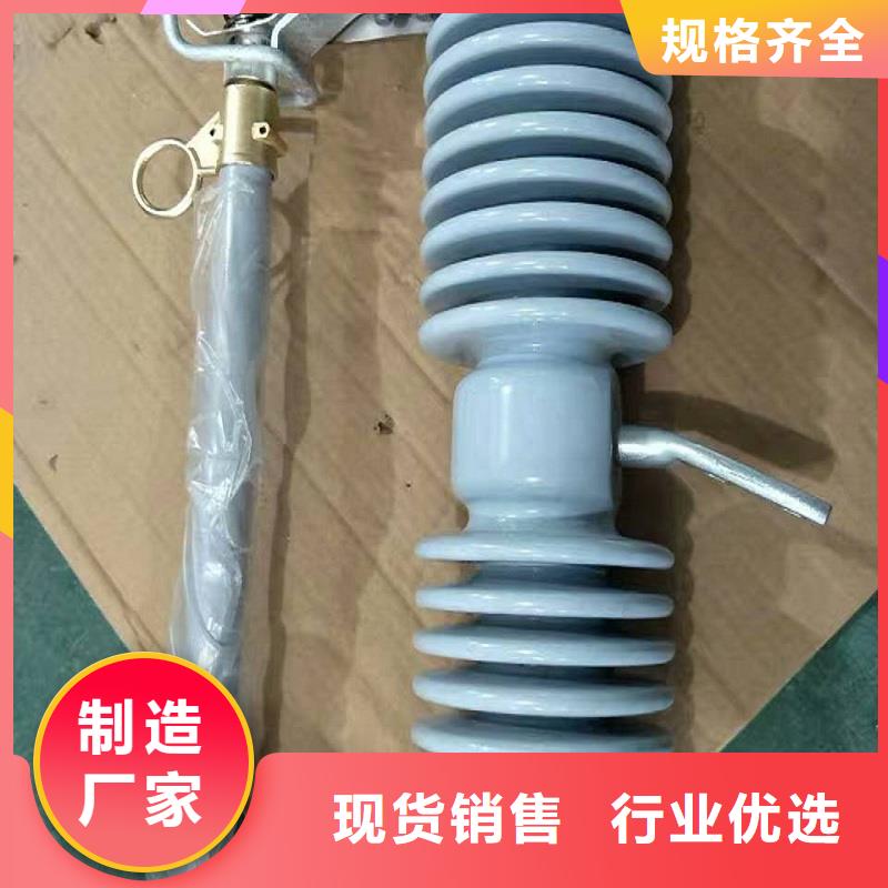 跌落式熔断器_RW12-12/100A