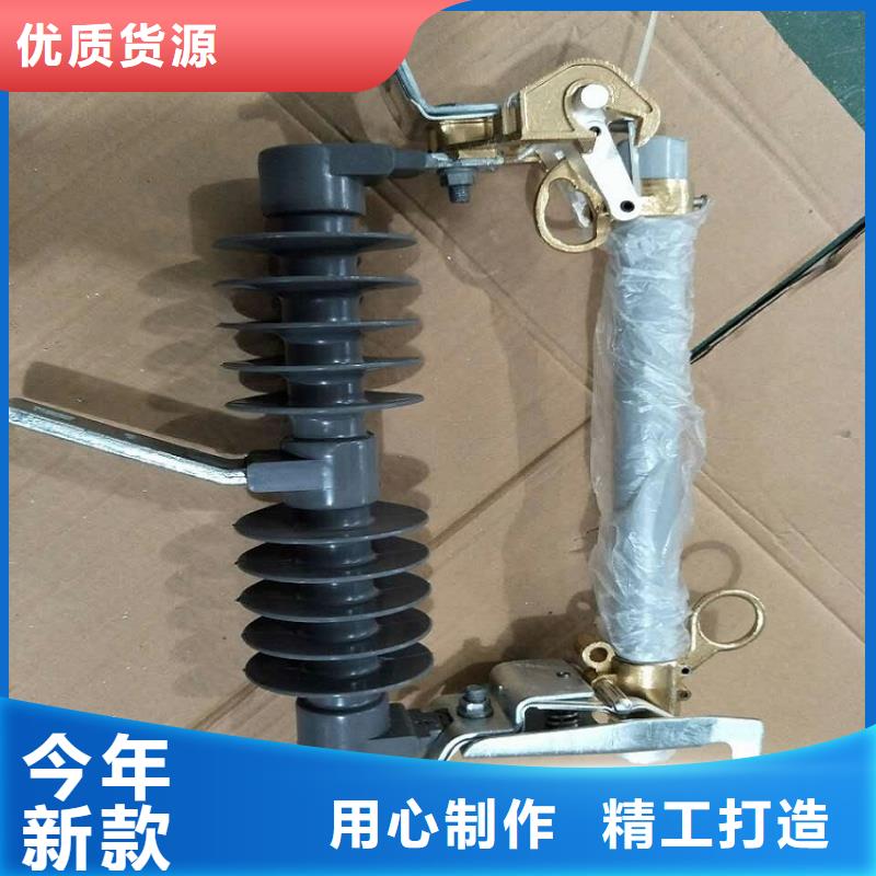 高压熔断器/HPRWG1-10F/100A