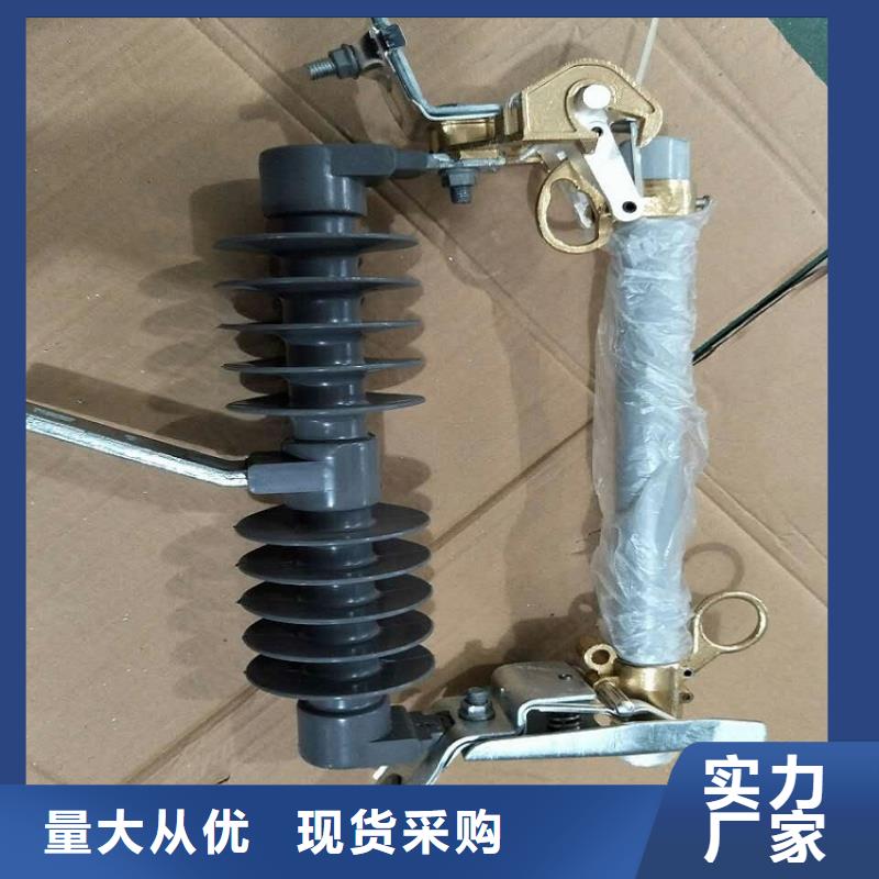 高压熔断器_RW12-12/100