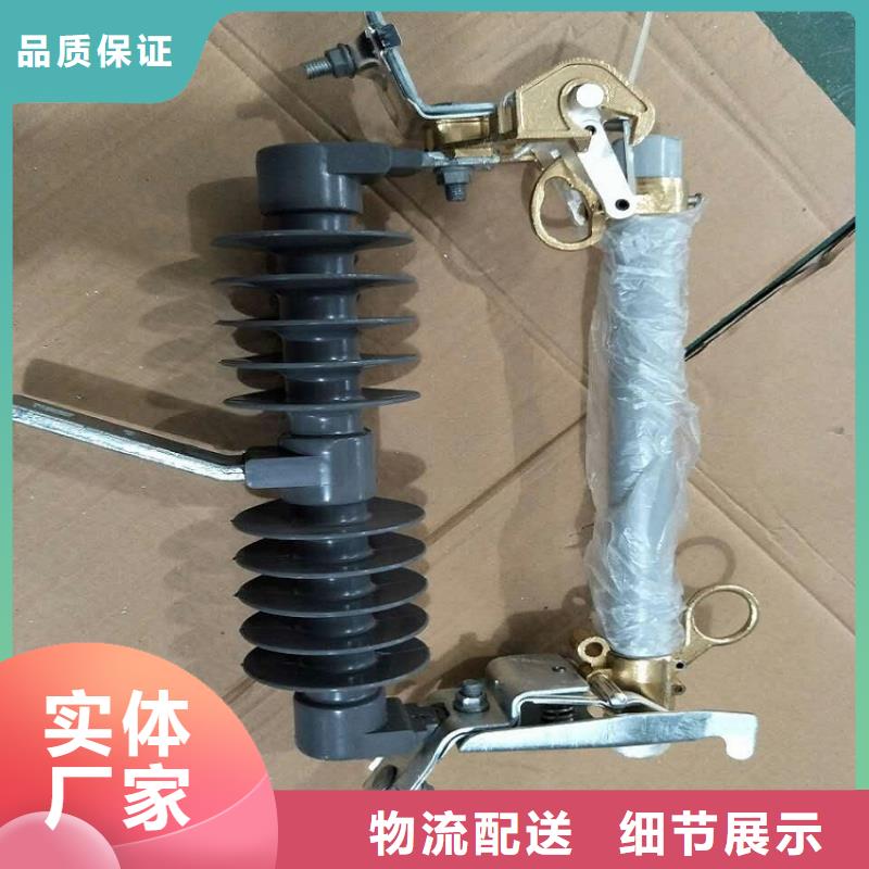 高压熔断器/RW11-10/100-12.5.