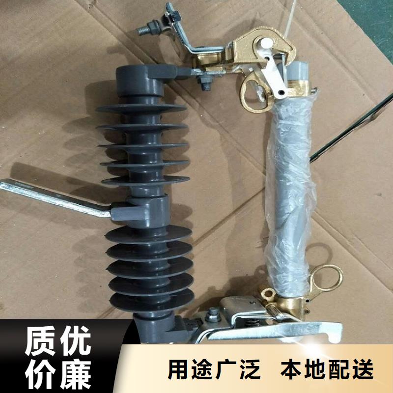 跌落式熔断器/HRW12-10/100/多少钱【浙江羿振电气有限公司】