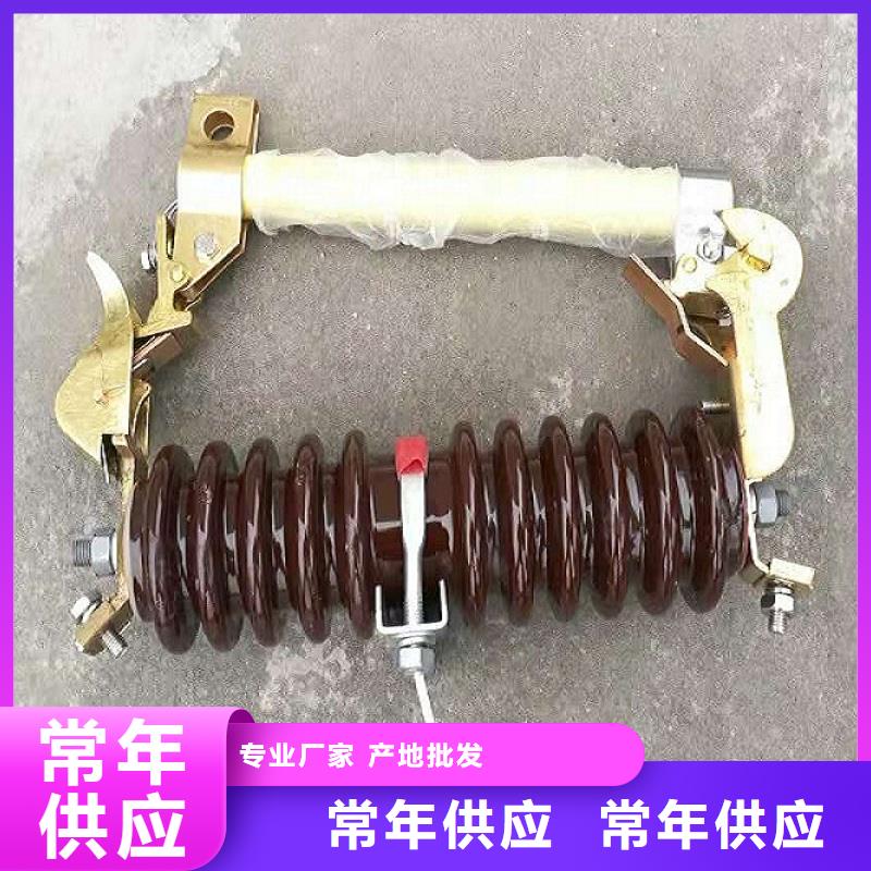跌落式熔断器_RW12-12/100A