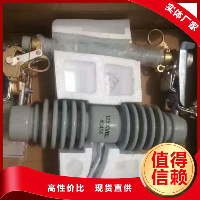 高压熔断器/RW4-12.12KV