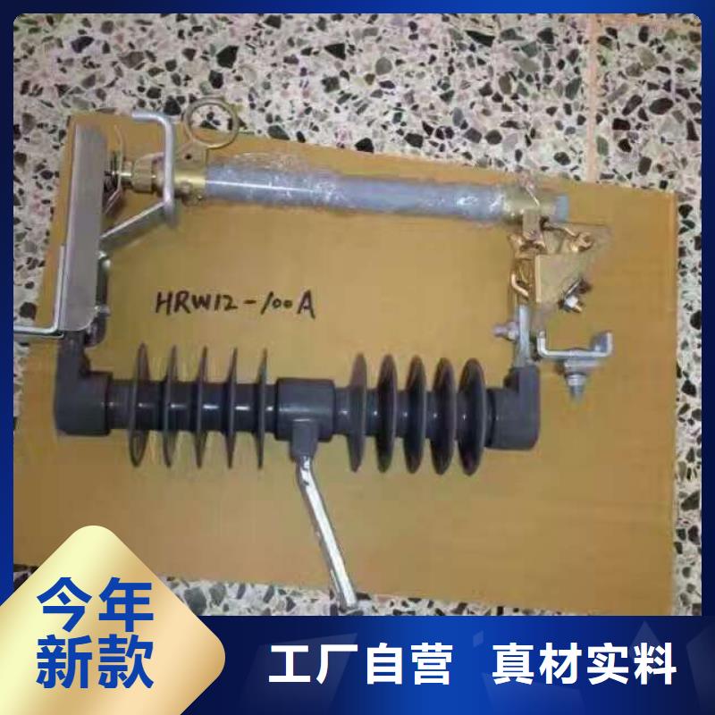 【熔断器】RW12-15/100A