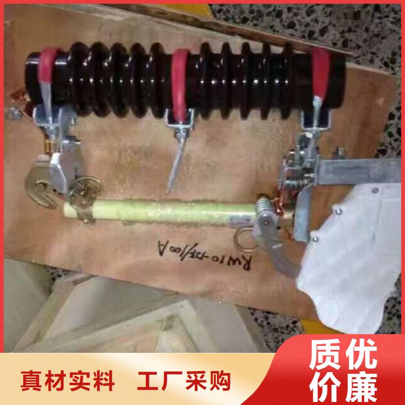 跌落式熔断器/RW12-10-100A