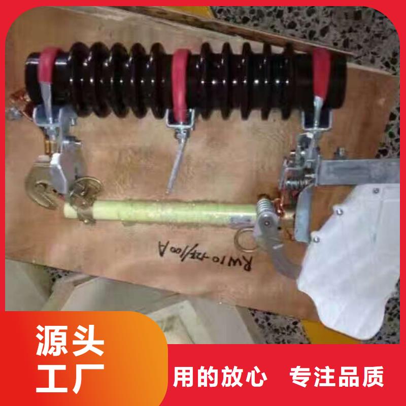 跌落式熔断器_RW12-12/100A
