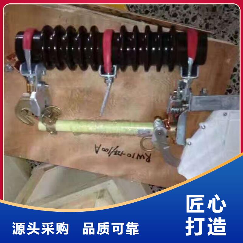 高压熔断器_RW12-12/100A