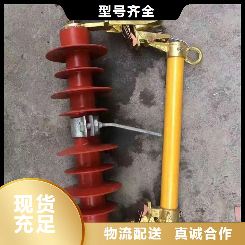 高压熔断器/RW11-10/100-12.5.