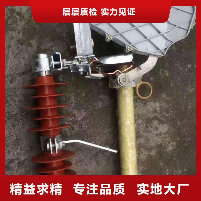 高压熔断器/HRW12-10KV/200