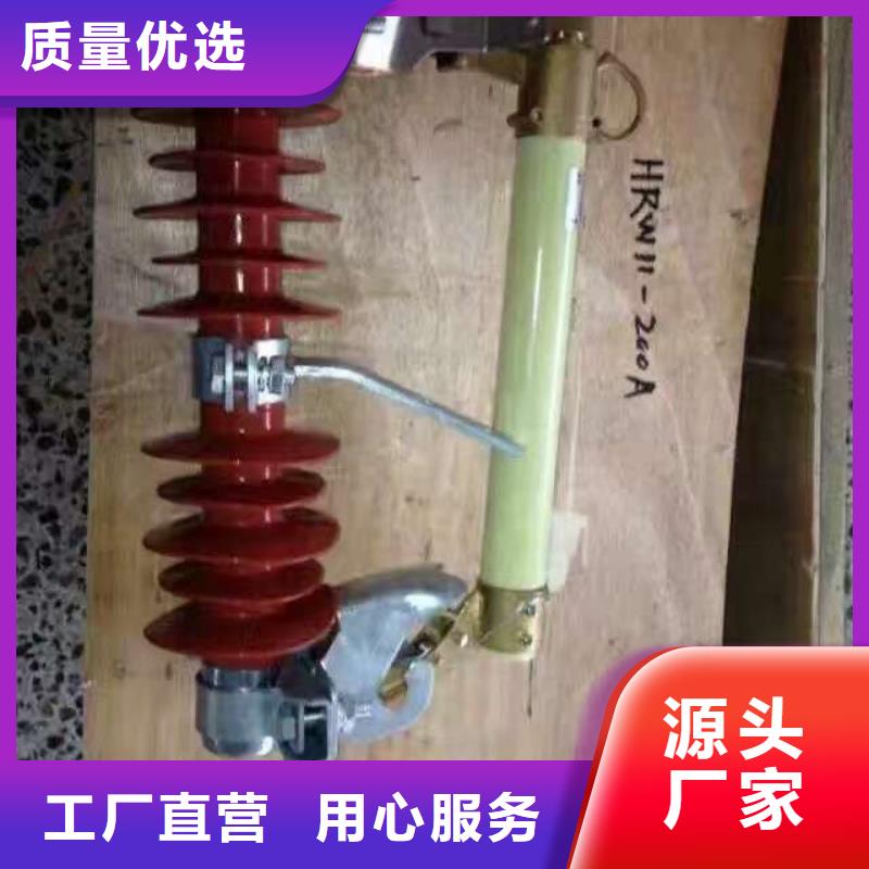 高压熔断器HPRW12-12/200A