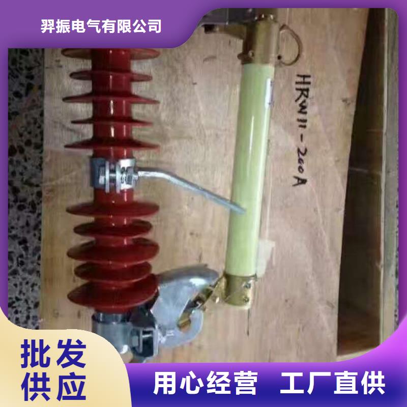 高压熔断器/RW11-12F/100