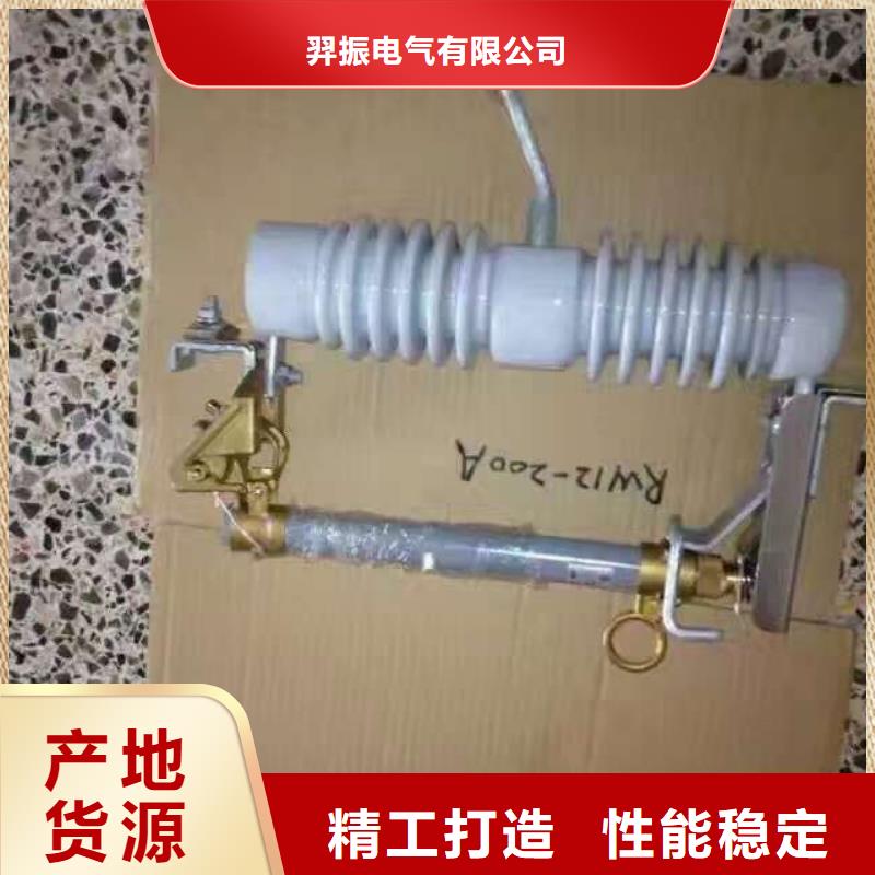 高压熔断器/HRW12-12/200