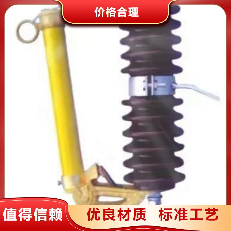 高压熔断器_RW12-10F/100A