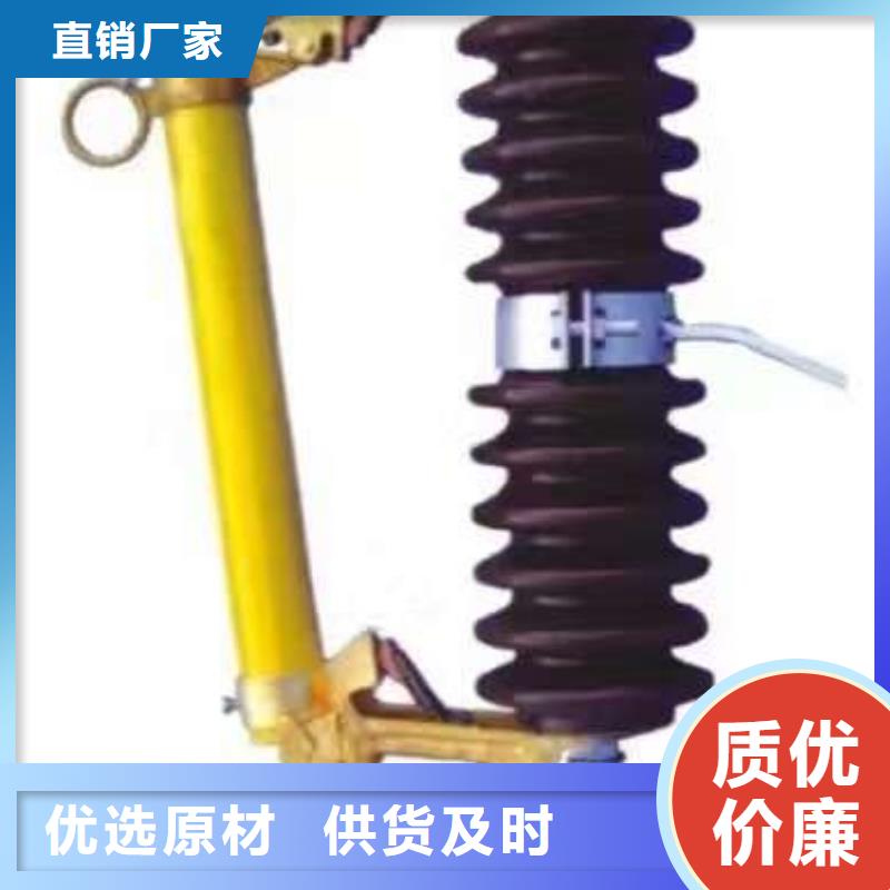 高压熔断器/PRW-24/100A