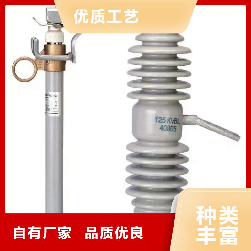 高压熔断器_RW12-12/100