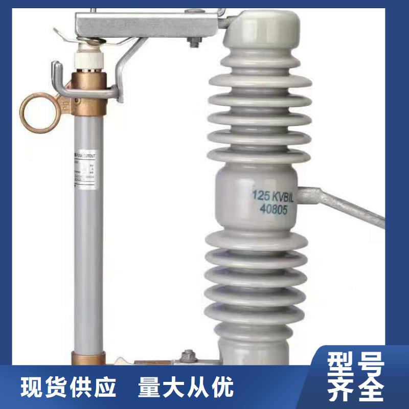 跌落式熔断器_RW12-10/200
