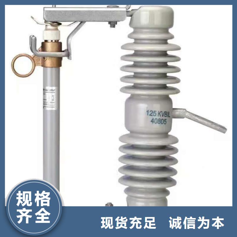 高压熔断器/RW6-63/200A