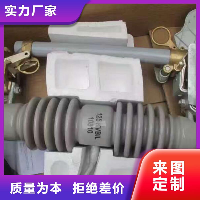 高压熔断器RW12-10KV/100A