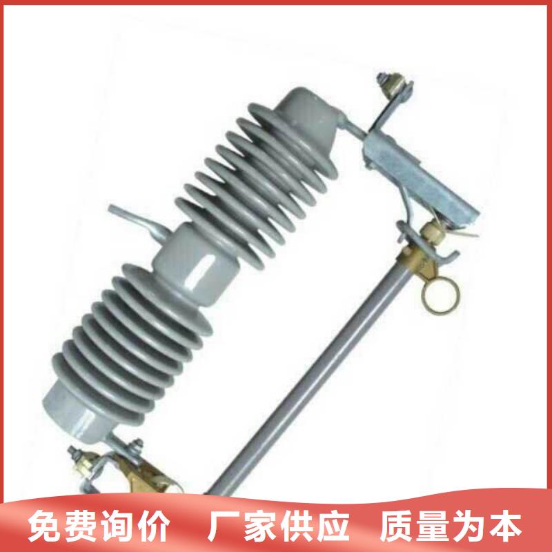 高压熔断器/RW5-66/100A