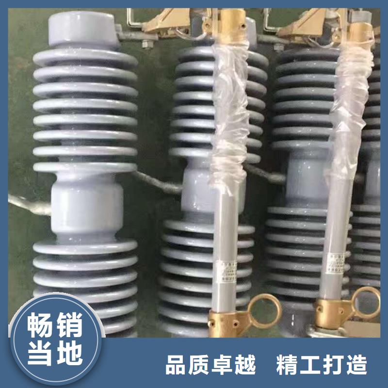 _避雷器HY10WZ-90/235【羿振电气】
