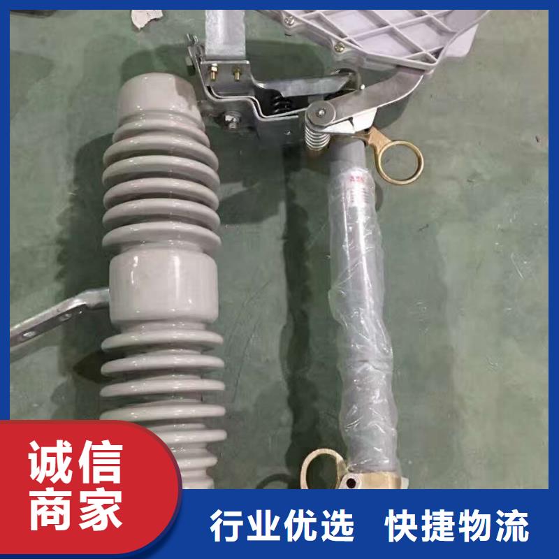 高压熔断器RW12-12/100