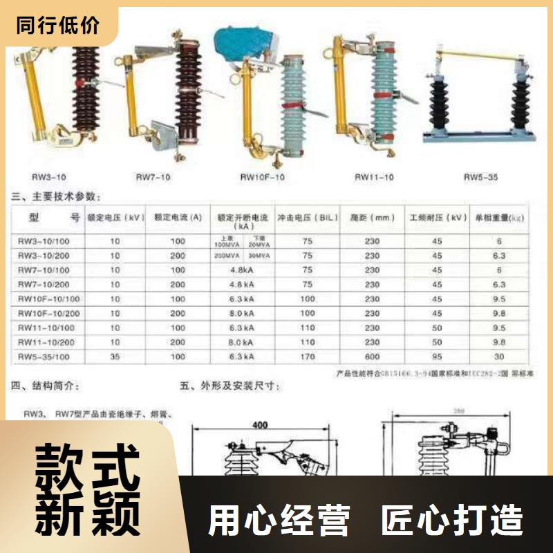 跌落式开关.跌落保险RW12-24F/100A