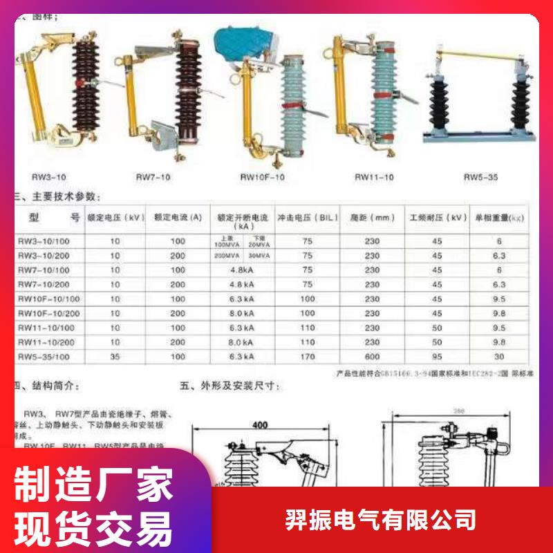 高压熔断器/HRW12-10KV/100A