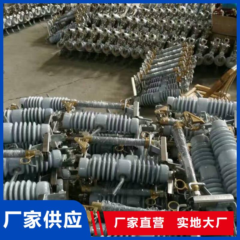 跌落式开关.跌落保险HRW12-10/100A