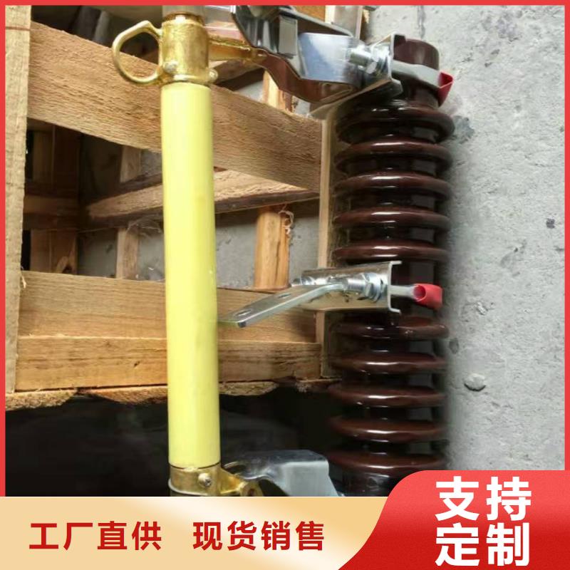 户外高压交流跌落式熔断器RW12-12/100
