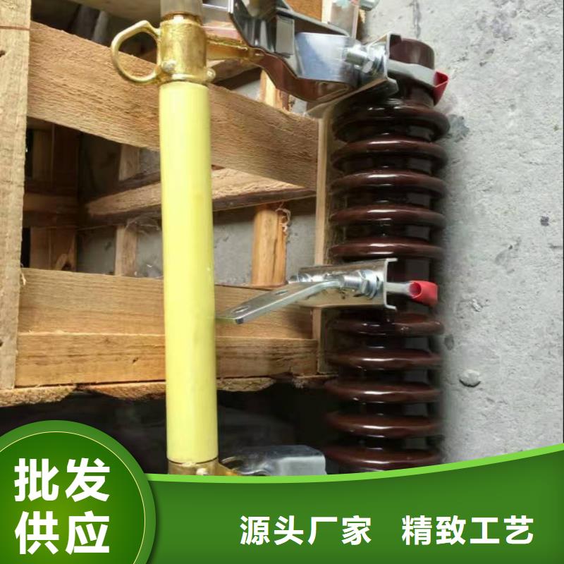 高压熔断器/RW11-12F/200A