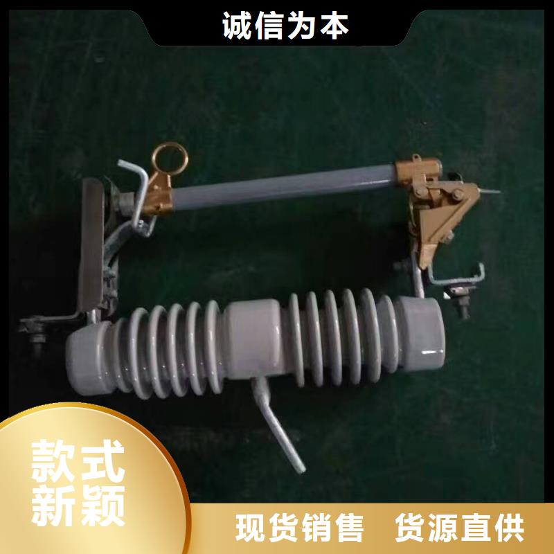 高压熔断器/RW11-10/100-12.5.