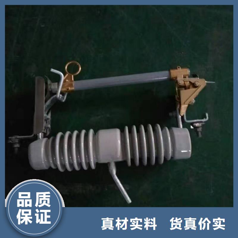 跌落式熔断器RW12-12-100A