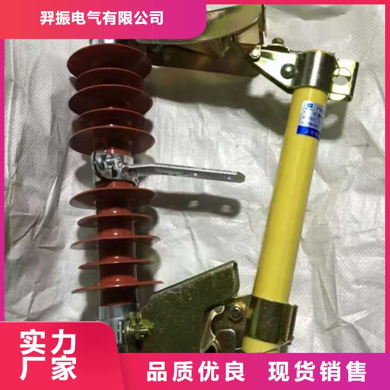 跌落式开关令克_RW12-12/100A