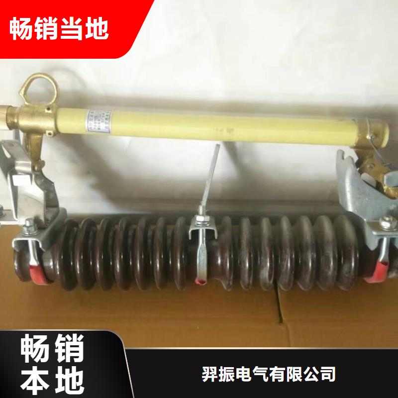 跌落式熔断器HPRW12-10/100A
