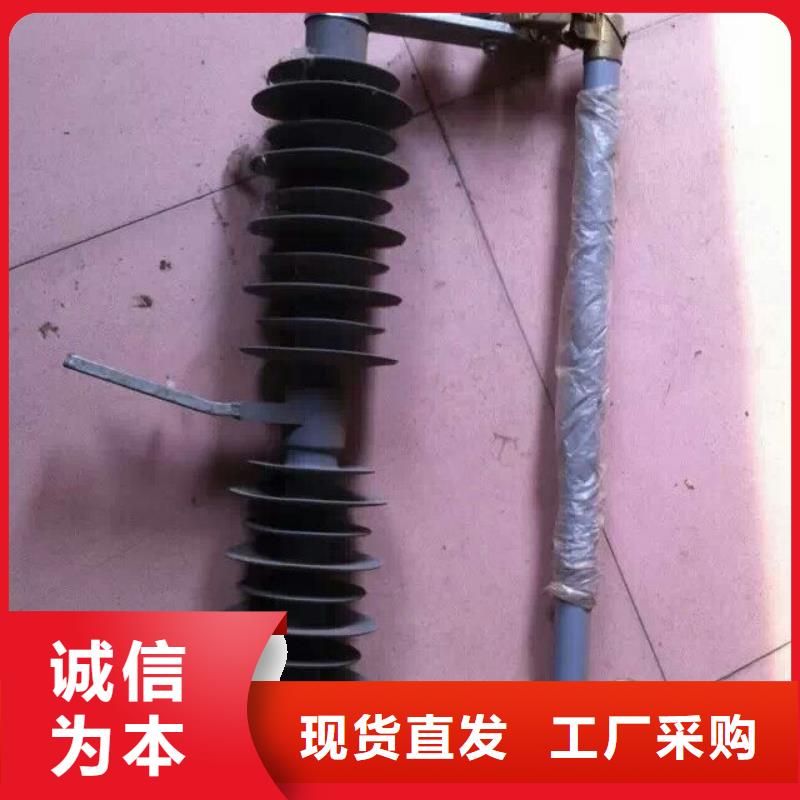 高压熔断器RW12-10KV/100A
