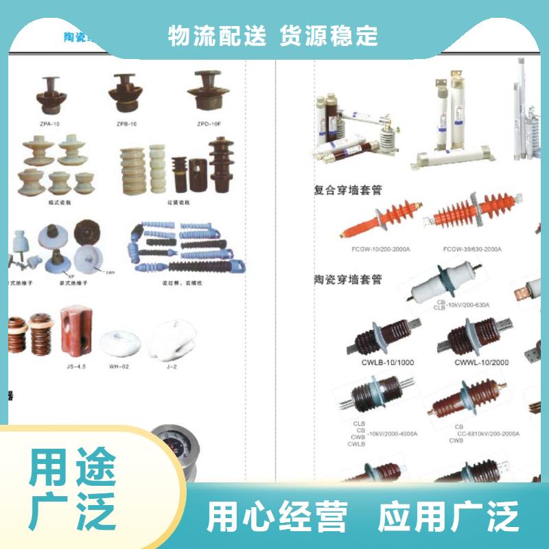 -绝缘子ZS-63/5