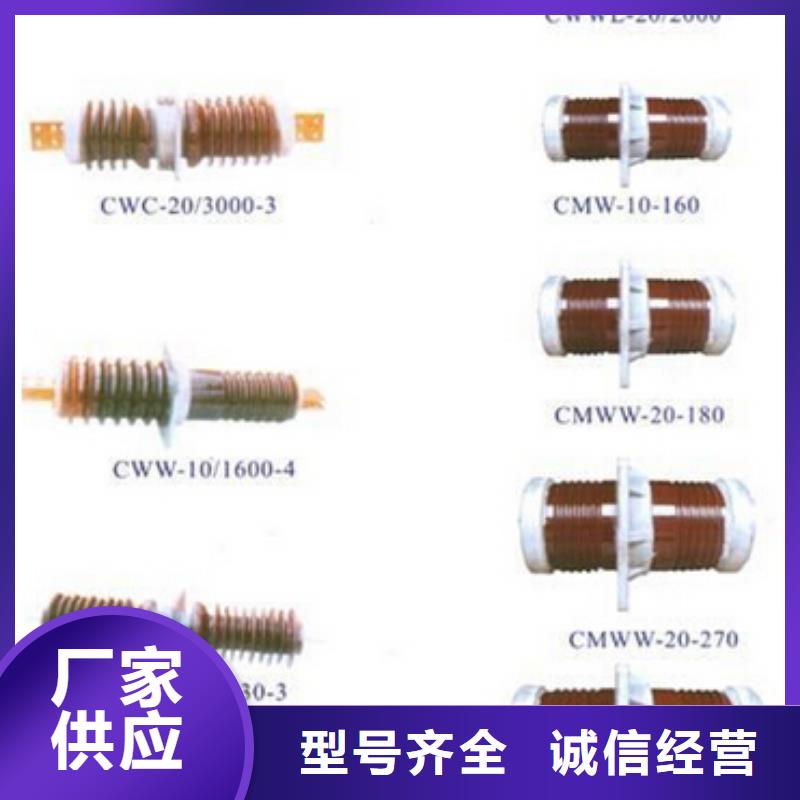 【高压穿墙套管】CWW-24/630-4
