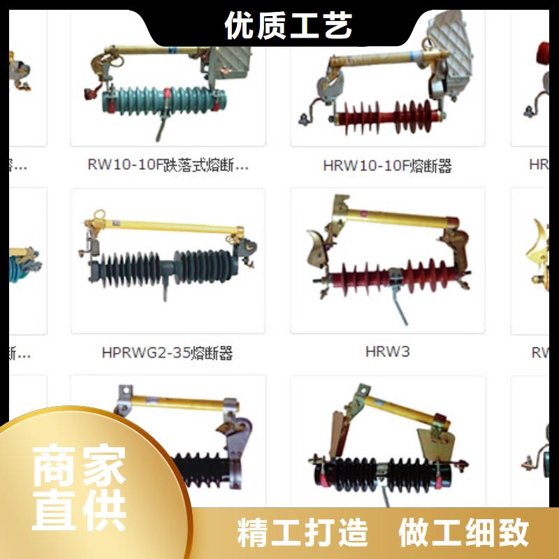 Y10W-100/260-金属氧化物避雷器