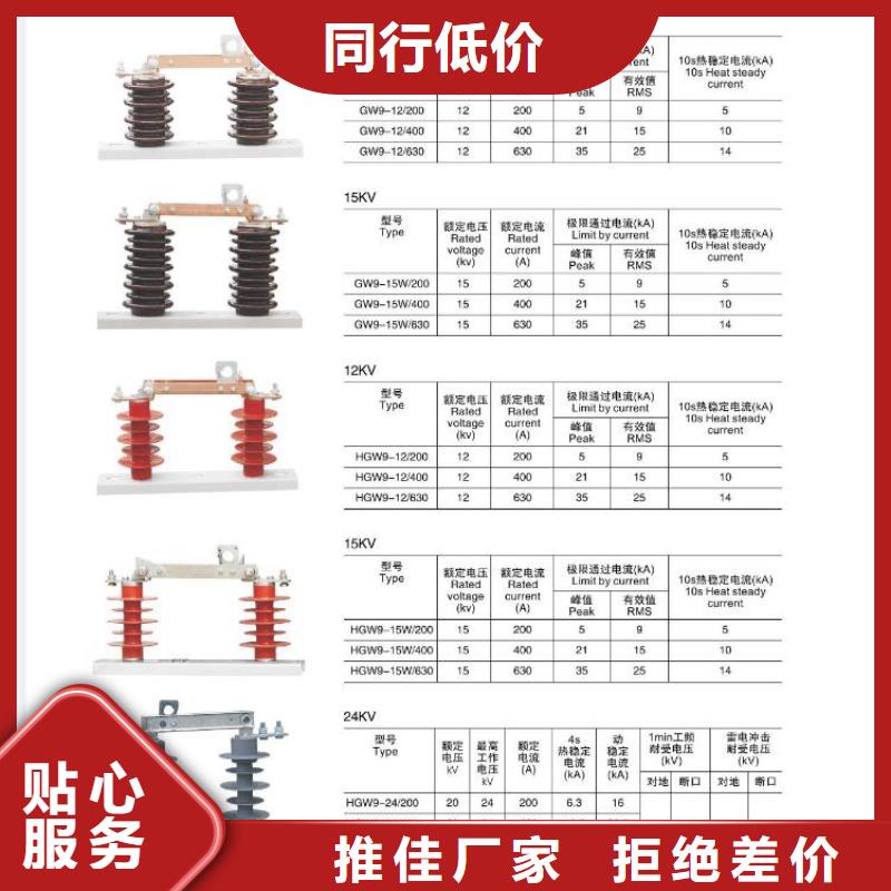 FHY5C-10C-3穿刺型间隙避雷器-避雷器--参数