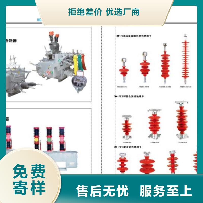 高压熔断器-RW-24/100A